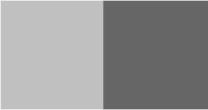 gris.JPG