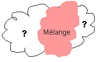 rose=quest.JPG
